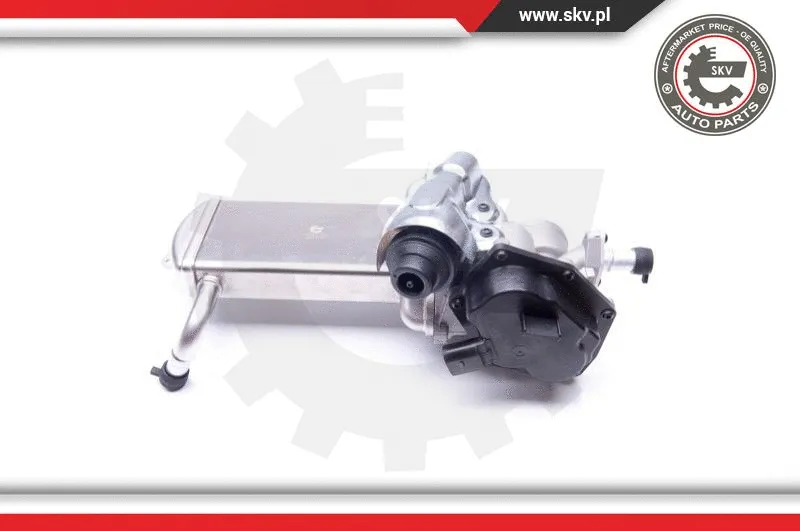 EGR Valve (14SKV152)