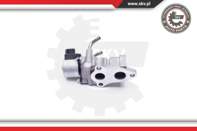EGR Valve