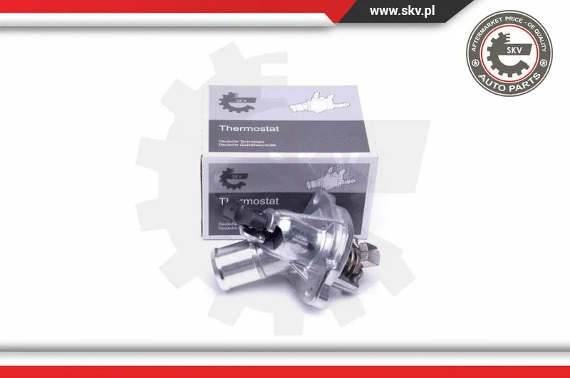 Thermostat, coolant (20SKV082)