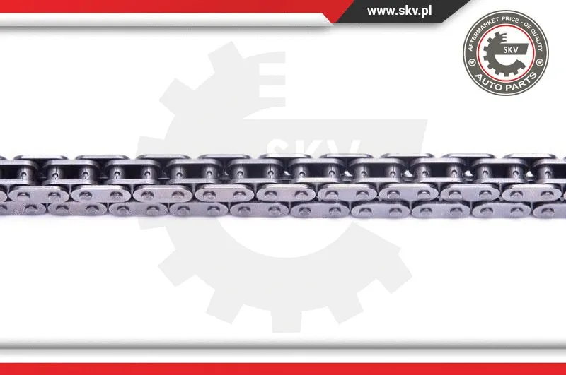 Timing Chain Kit
