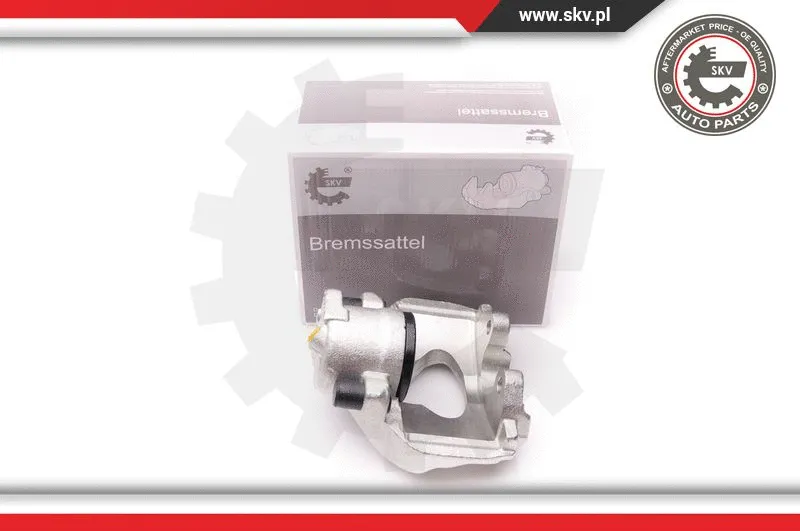 Brake Caliper (34SKV232)