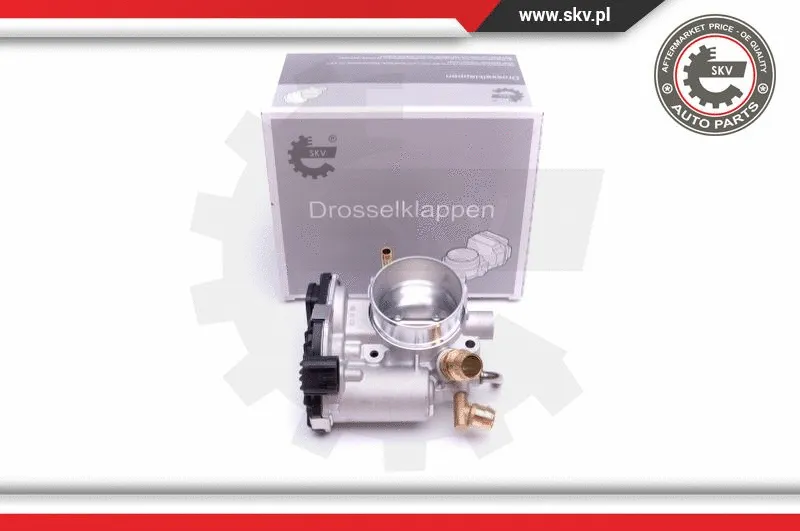 Throttle Body (12SKV074)