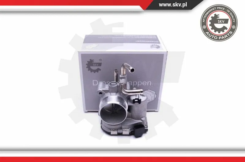 Throttle Body (12SKV085)