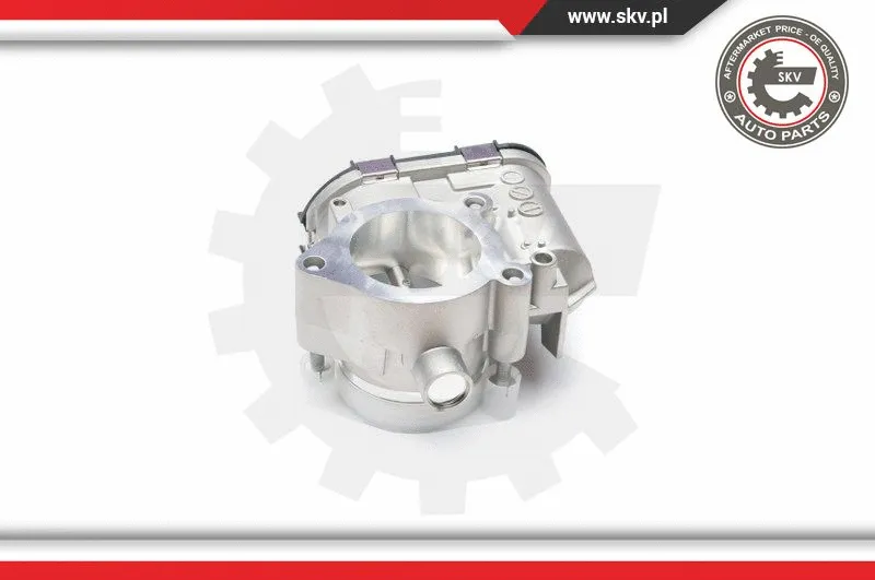 Throttle Body