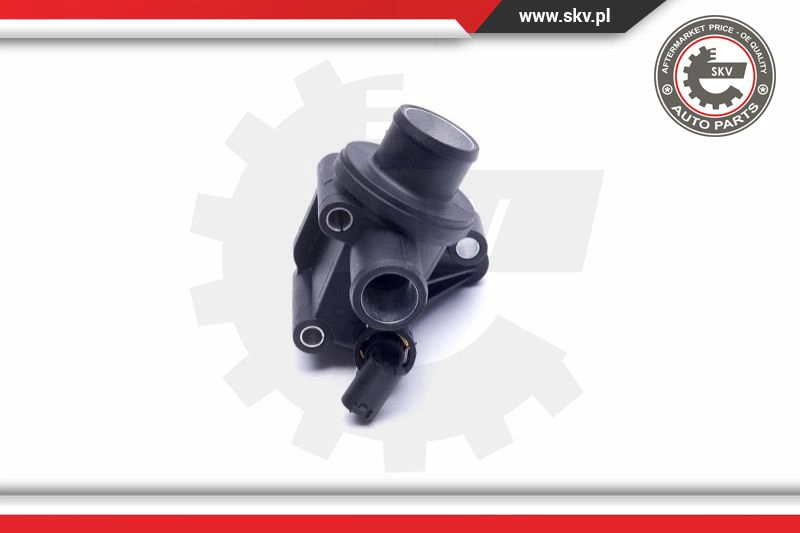 Thermostat, coolant