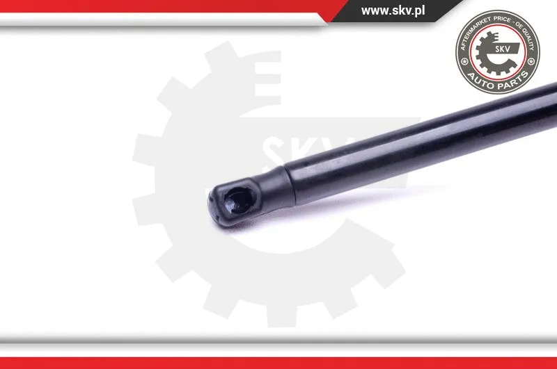 Gas Spring, boot/cargo area