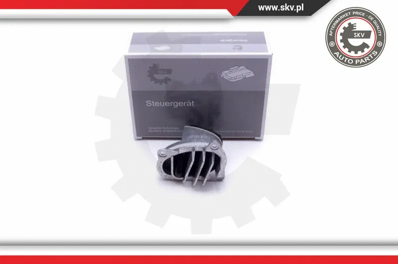 Control Unit, lights (59SKV129)