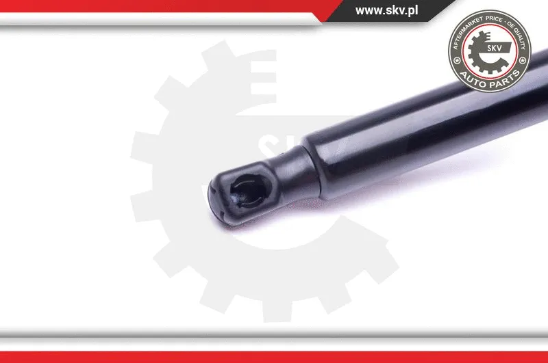 Gas Spring, boot/cargo area