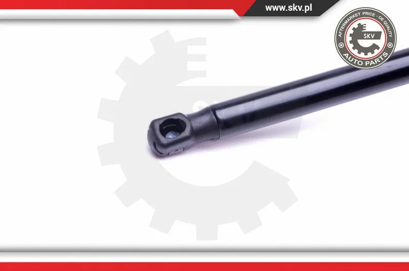 Gas Spring, boot/cargo area