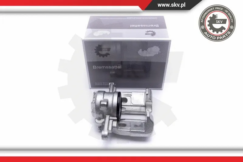 Brake Caliper (55SKV721)