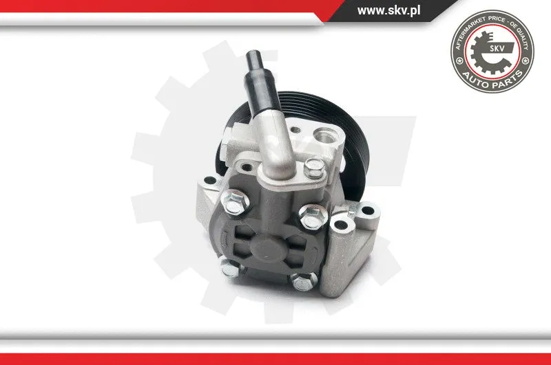 Hydraulic Pump, steering (10SKV215)