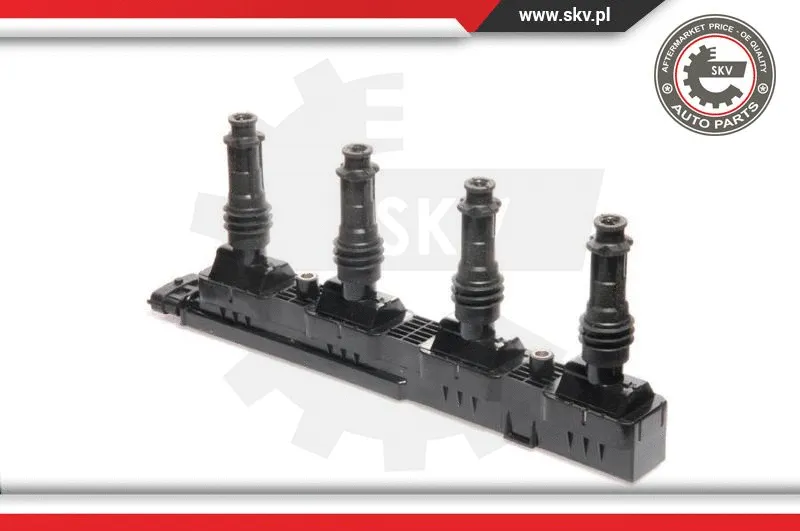 Ignition Coil (03SKV109)