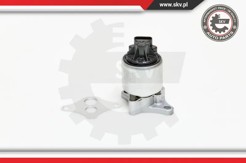 EGR Valve