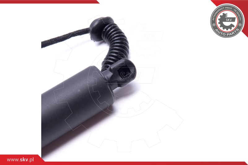 Electric Motor, tailgate