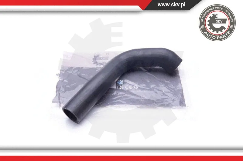 Radiator Hose (43SKV707)