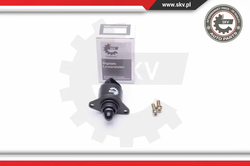 Idle Control Valve, air supply (08SKV049)