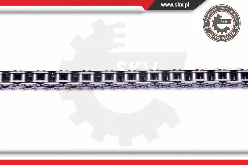 Timing Chain Kit