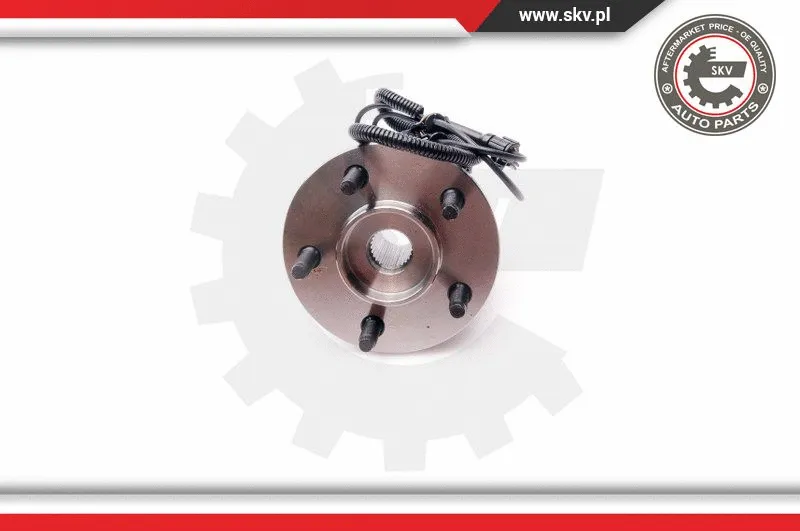 Wheel Bearing Kit