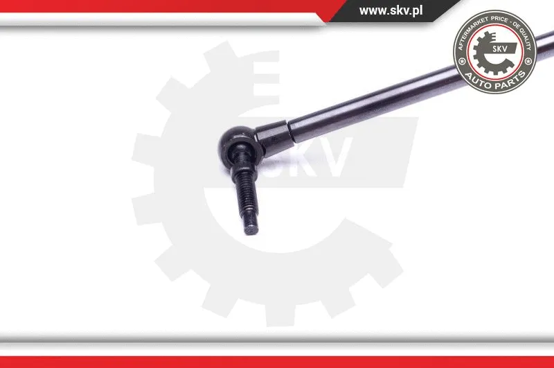 Gas Spring, boot/cargo area