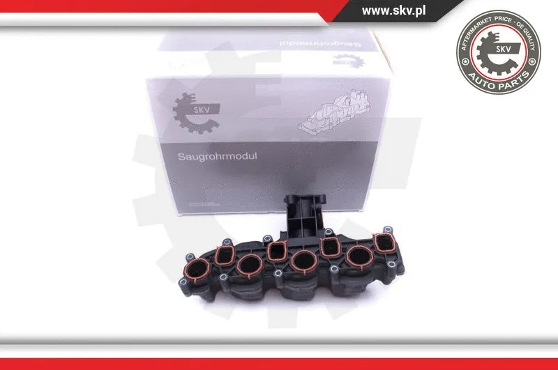 Intake Manifold Module (49SKV008)