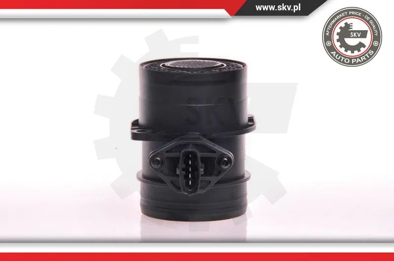 Mass Air Flow Sensor