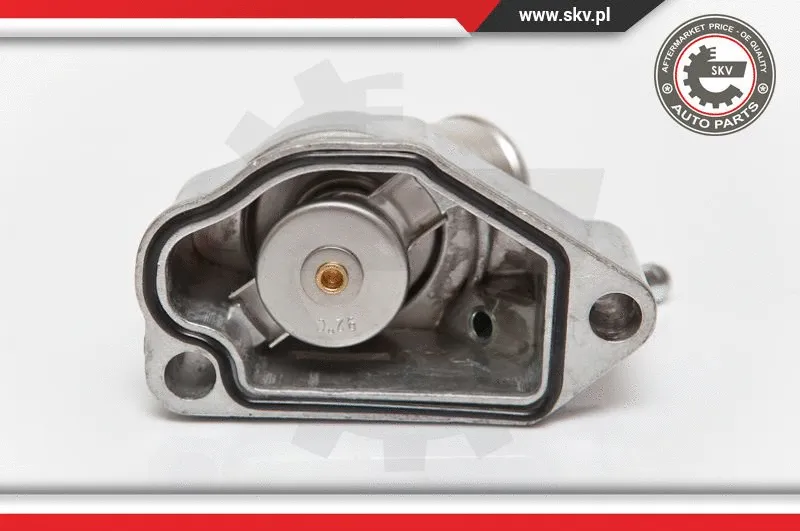 Thermostat, coolant
