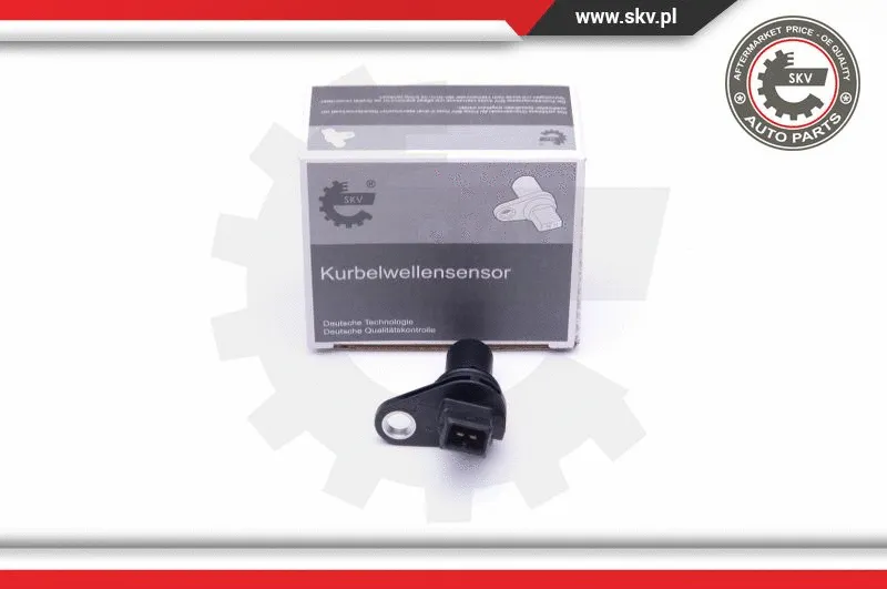 Sensor, camshaft position (17SKV283)