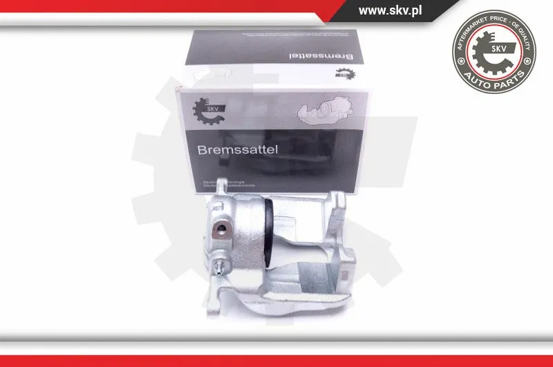 Brake Caliper (44SKV281)