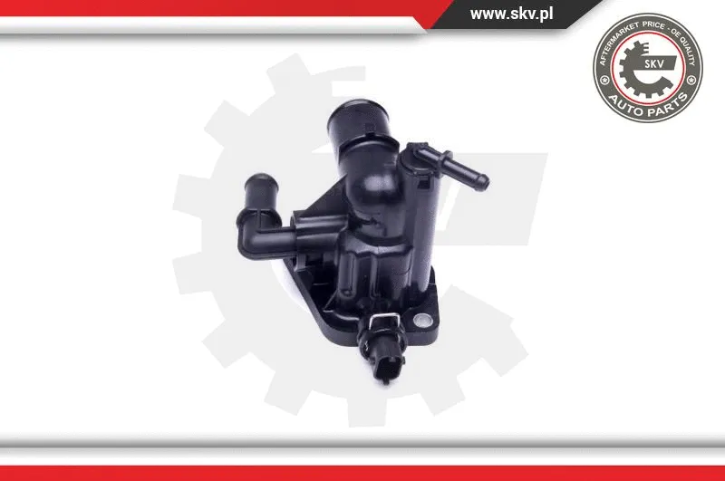 Thermostat, coolant