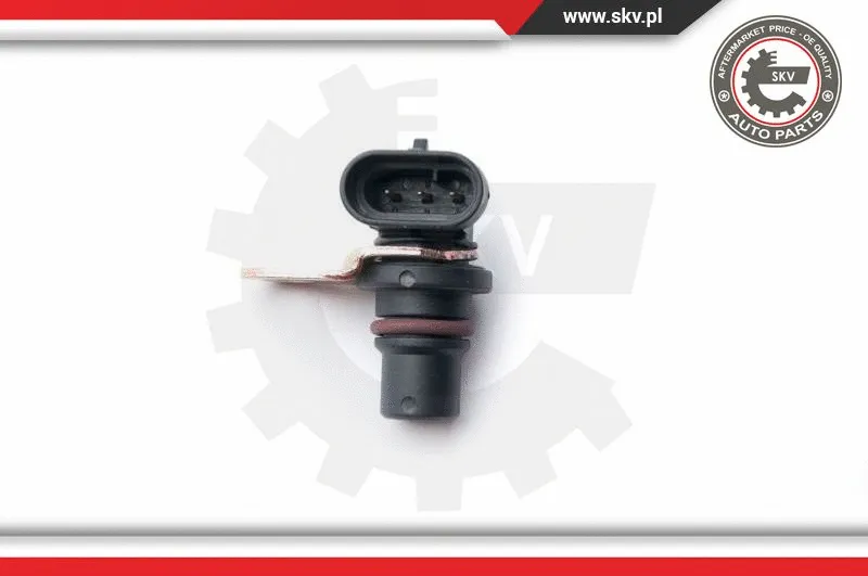 Sensor, camshaft position (17SKV248)