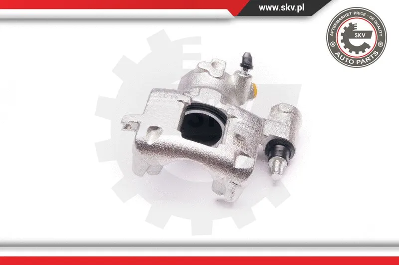 Brake Caliper (23SKV691)