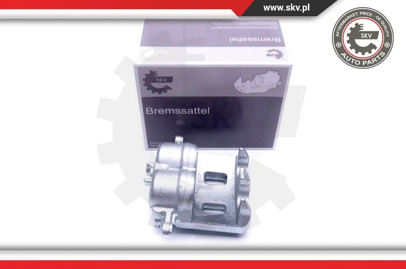 Brake Caliper (42SKV982)