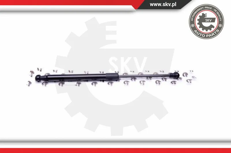 Gas Spring, boot/cargo area