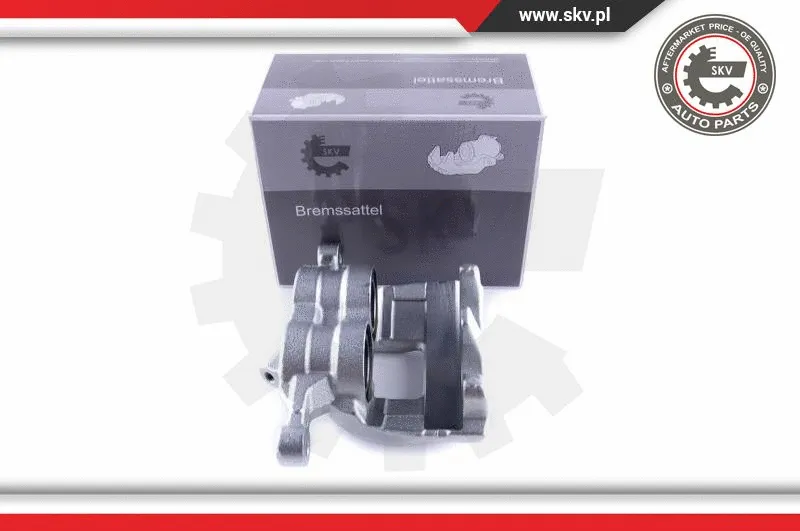 Brake Caliper (50SKV021)