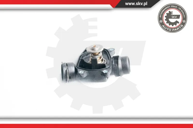 Thermostat, coolant