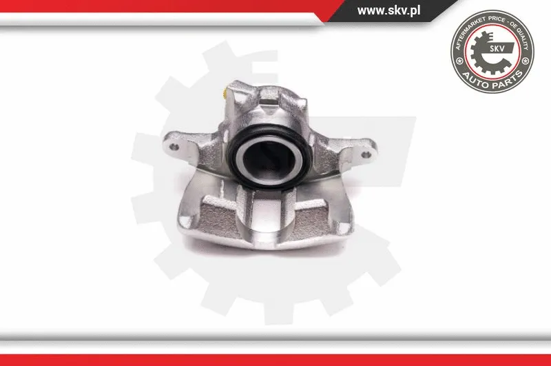 Brake Caliper (23SKV721)