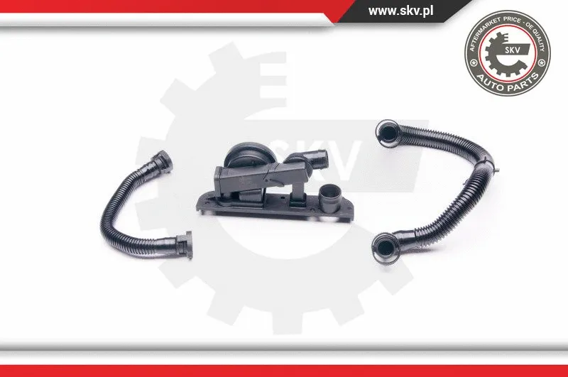 Repair Kit, crankcase ventilation (31SKV003)