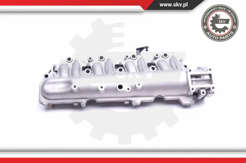 Intake Manifold Module