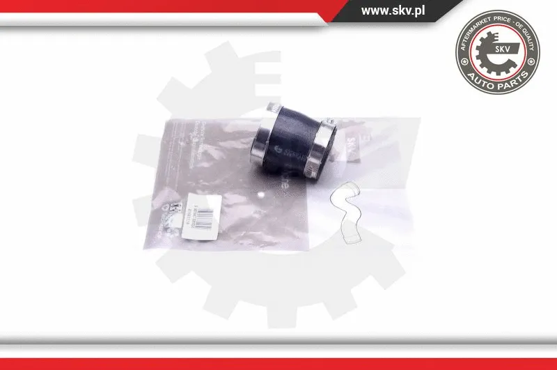 Charge Air Hose (43SKV118)