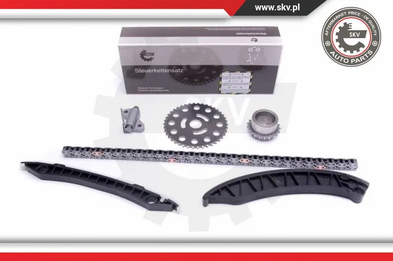 Timing Chain Kit (21SKV246)