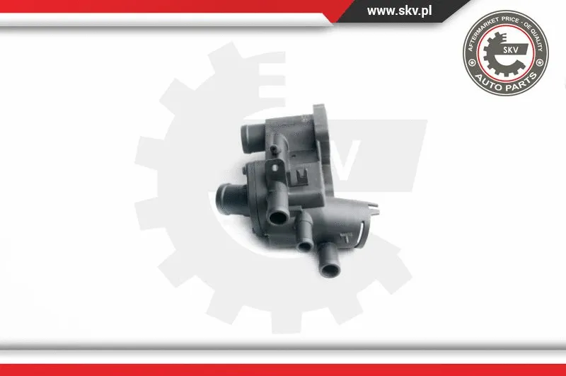 Thermostat, coolant