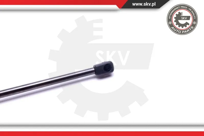 Gas Spring, boot/cargo area