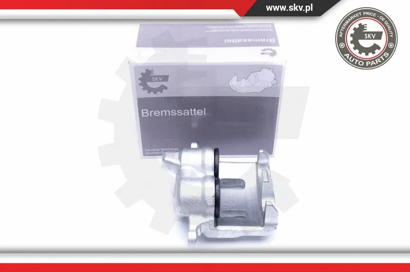 Brake Caliper (44SKV231)