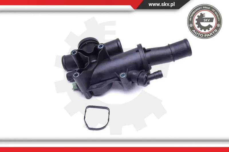 Thermostat, coolant