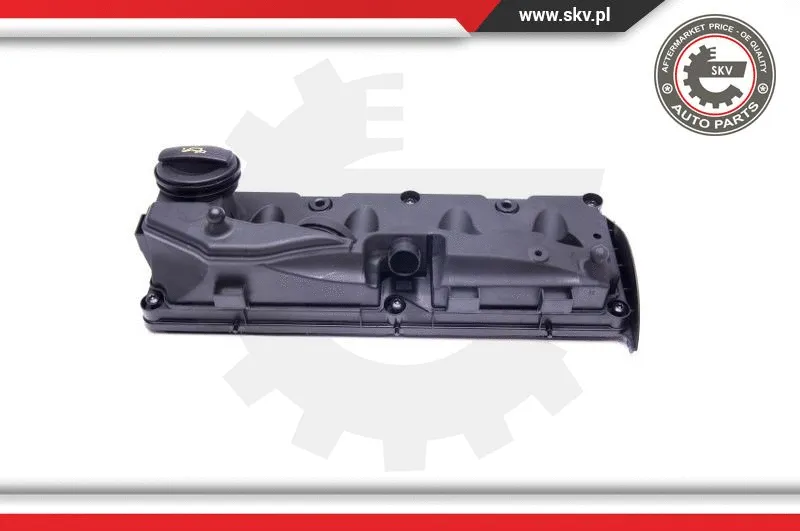 Cylinder Head Cover (48SKV019)
