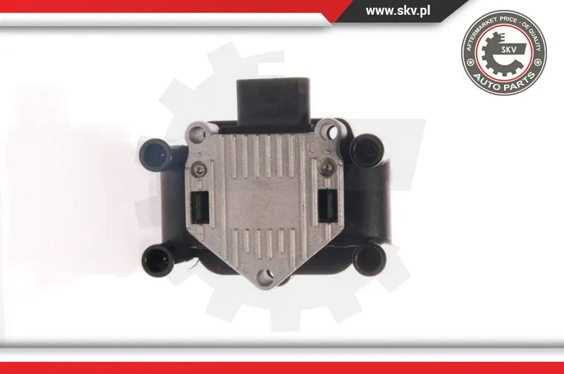 Ignition Coil (03SKV007)