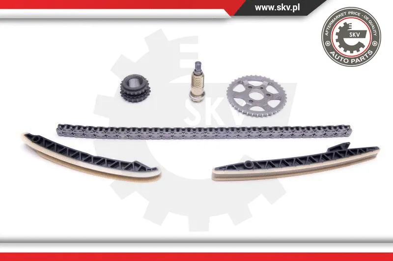 Timing Chain Kit