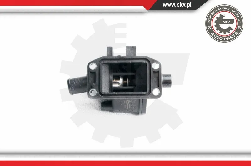 Thermostat, coolant