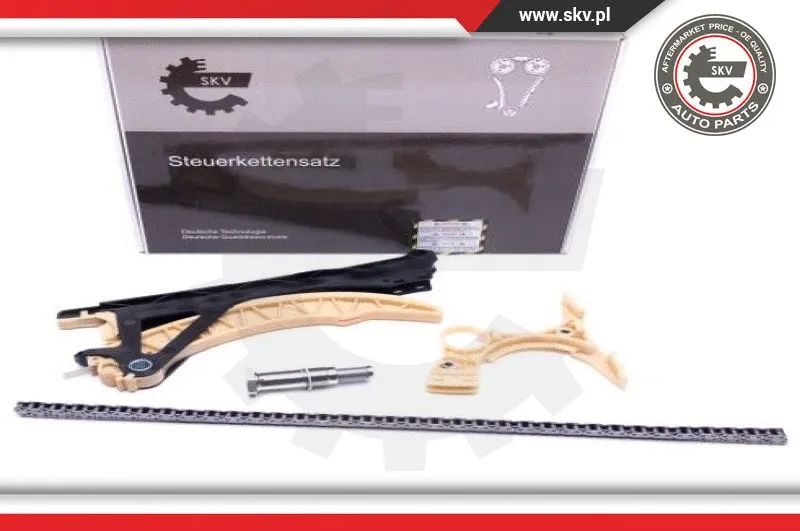 Timing Chain Kit (21SKV179)