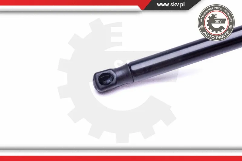 Gas Spring, boot/cargo area